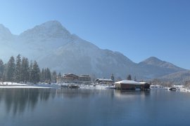 fische am see