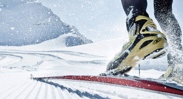 Cross-country skiing Cross-country skiing