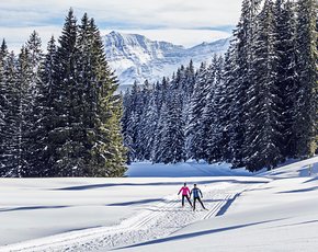 Der Chiemgau – ein wahrer Geheimtipp für Langläufer Der Chiemgau – ein wahrer Geheimtipp für Langläufer